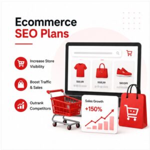 Ecommerce SEO Services Edison NY